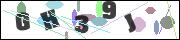 CAPTCHA image characters