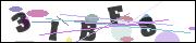 CAPTCHA image characters