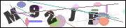 CAPTCHA image characters