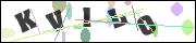 CAPTCHA image characters