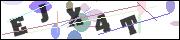 CAPTCHA image characters