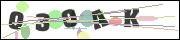 CAPTCHA image characters