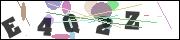 CAPTCHA image characters