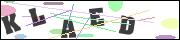CAPTCHA image characters