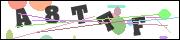 CAPTCHA image characters