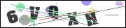 CAPTCHA image characters