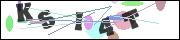 CAPTCHA image characters