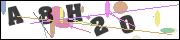 CAPTCHA image characters