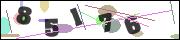CAPTCHA image characters