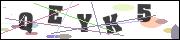 CAPTCHA image characters