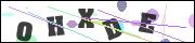 CAPTCHA image characters