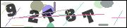 CAPTCHA image characters