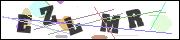 CAPTCHA image characters