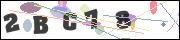 CAPTCHA image characters