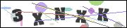CAPTCHA image characters