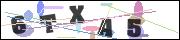 CAPTCHA image characters