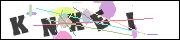 CAPTCHA image characters