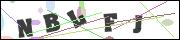 CAPTCHA image characters