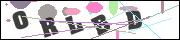 CAPTCHA image characters