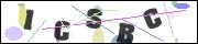 CAPTCHA image characters