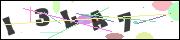 CAPTCHA image characters
