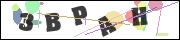 CAPTCHA image characters