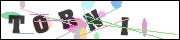 CAPTCHA image characters