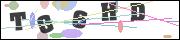 CAPTCHA image characters