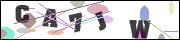 CAPTCHA image characters
