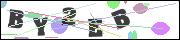 CAPTCHA image characters