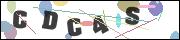 CAPTCHA image characters