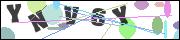 CAPTCHA image characters