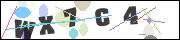 CAPTCHA image characters