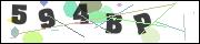 CAPTCHA image characters