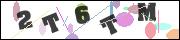 CAPTCHA image characters