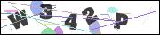 CAPTCHA image characters