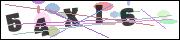 CAPTCHA image characters
