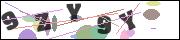 CAPTCHA image characters