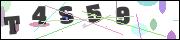 CAPTCHA image characters