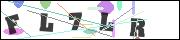 CAPTCHA image characters