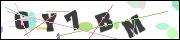 CAPTCHA image characters