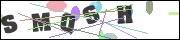 CAPTCHA image characters