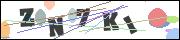CAPTCHA image characters
