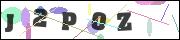 CAPTCHA image characters