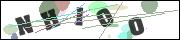 CAPTCHA image characters