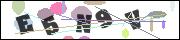 CAPTCHA image characters