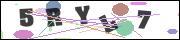 CAPTCHA image characters
