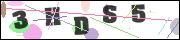 CAPTCHA image characters