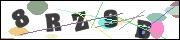 CAPTCHA image characters