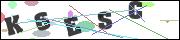 CAPTCHA image characters